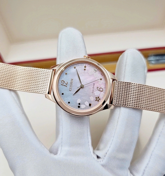  Citizen Quartz Eco-Drive Limited Edition EM0508-80D Limited Edition of 800