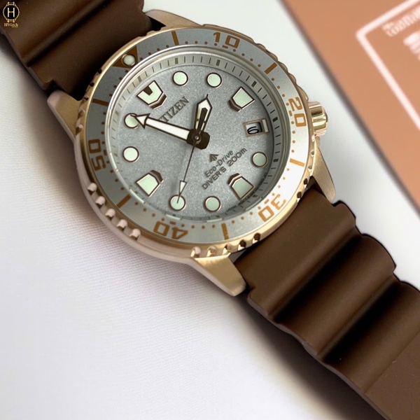 Citizen Quartz Eco-Drive Promaster Diver's 200M EO2022-02A