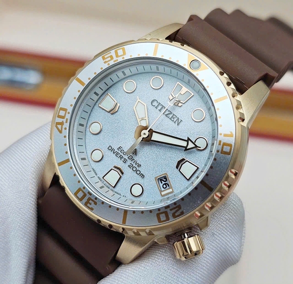  Citizen Quartz Eco-Drive Promaster Diver's 200M EO2022-02A