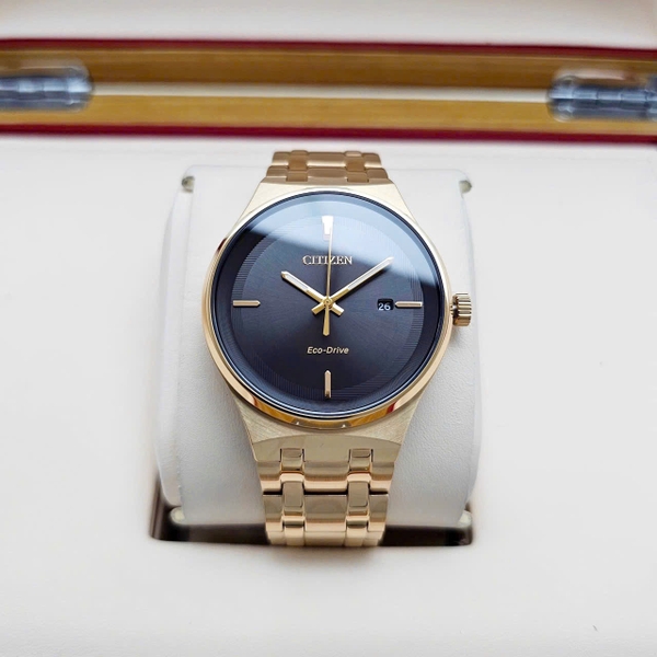 Citizen Quartz Eco-Drive Archives BM7653-50E