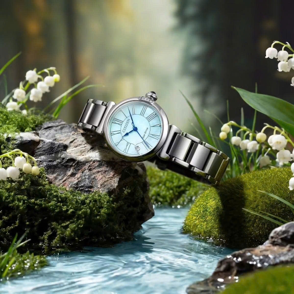 Citizen Quartz Eco-Drive L EM1060-87N