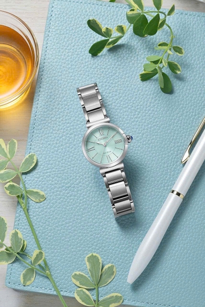 Citizen Quartz Eco-Drive L EM1070-83L