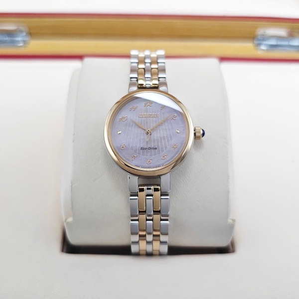 Citizen Quartz Eco-Drive L EM0996-84Y