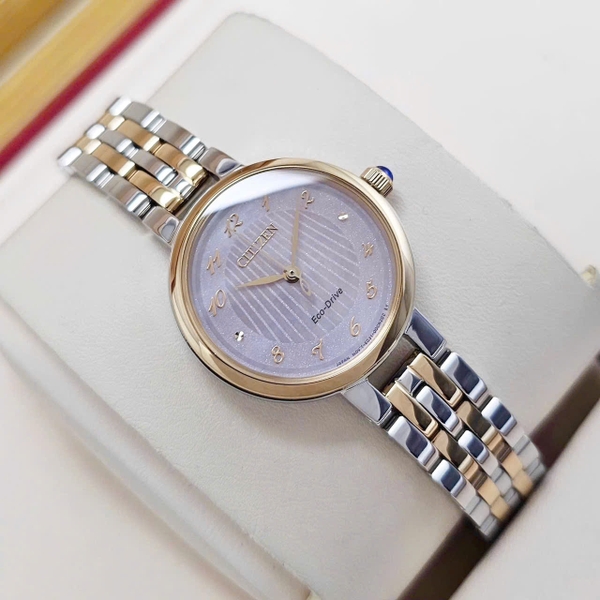 Citizen Quartz Eco-Drive L EM0996-84Y