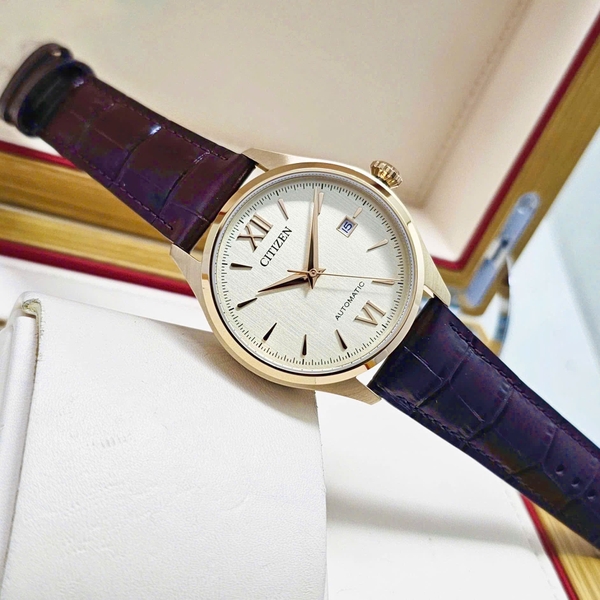 Citizen Automatic Mechanical NJ0243-06A