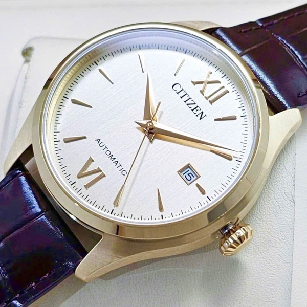 Citizen Automatic Mechanical NJ0243-06A