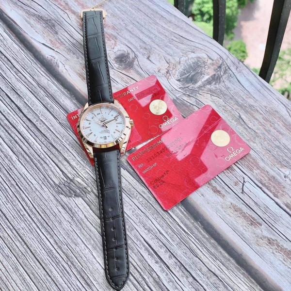 Đồng Hồ Nam Omega Automatic Seamaster Aqua Terra 231.53.43.22.02.001 ( 23153432202001 )