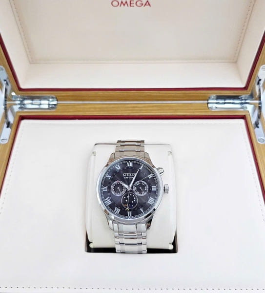 Citizen Quartz Eco-Drive MoonPhase AP1050-81E