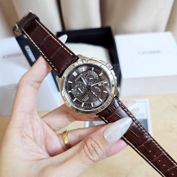 Citizen Quartz Eco-Drive Perpetual Calendar BL8160-07X