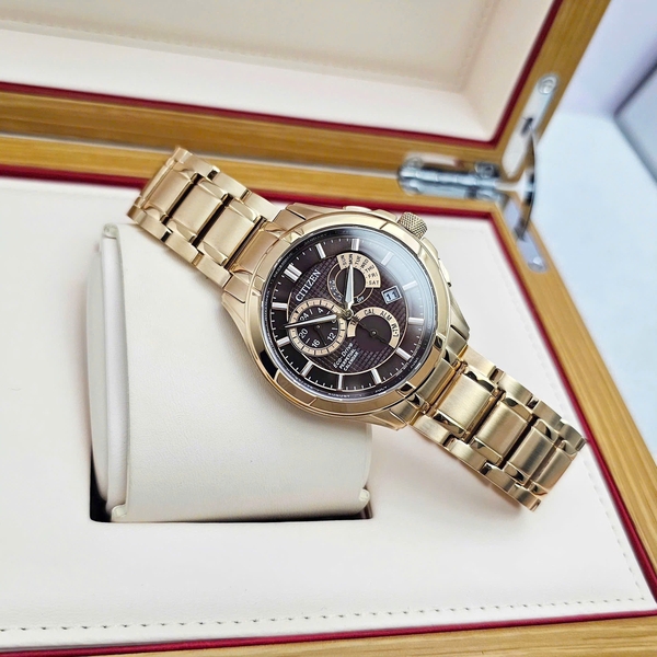 Citizen Eco-Drive Perpetual GMT Brown Dial BL8163-50X 