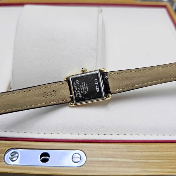 Citizen Quartz Eco-Drive EG2797-13A