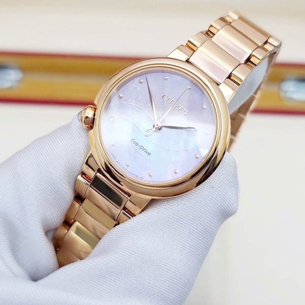 Citizen Quartz Eco-Drive L EM0917-81Y