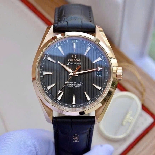Đồng Hồ Nam Omega Automatic Seamaster Aqua Terra 231.53.42.21.06.002 ( 23153422106002 )