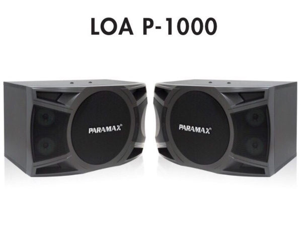 LOA NẰM PARAMAX BASS 25CM P -1000