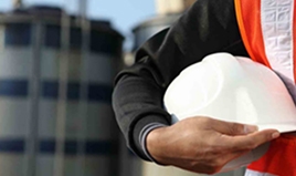 Lao động và việc làm