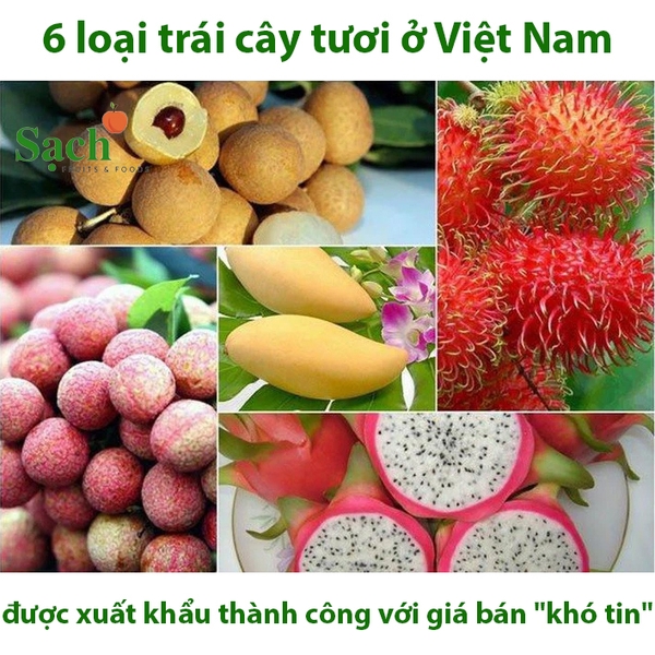 6 loại trái cây tươi ở Việt Nam đã được xuất khẩu thành công với giá bán "khó tin"