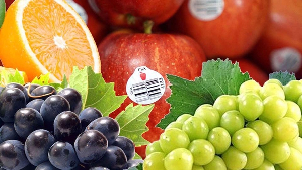 Những điểm lợi khi tiêu thụ trái cây nhập khẩu