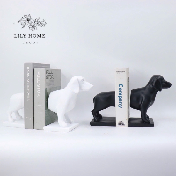 𝑮𝑰𝑨́ 𝑪𝑯𝑨̣̆𝑵 𝑺𝑨́𝑪𝑯 𝑪𝑯𝑶́ 𝑫𝑨𝑪𝑯𝑺𝑯𝑼𝑵𝑫 𝒎𝒂̀𝒖 đ𝒆𝒏 - 𝒕𝒓𝒂̆́𝒏𝒈