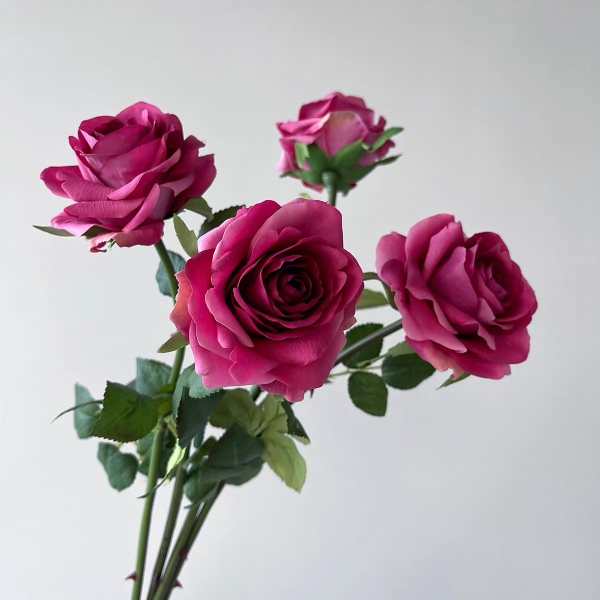 Hoa Hồng Cao Cấp