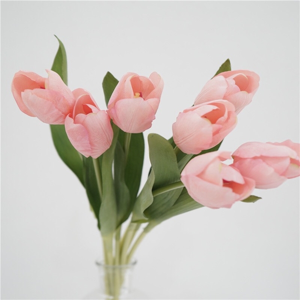 HOA TULIP HỒNG