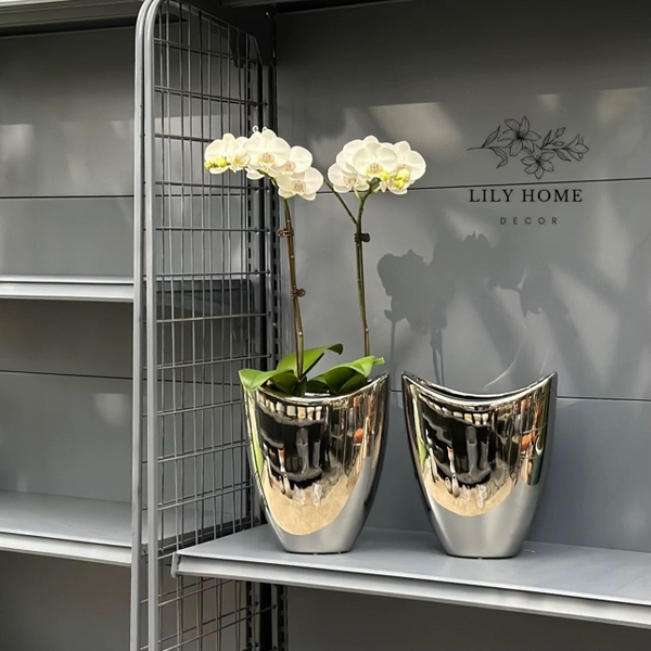 𝑩𝑰̀𝑵𝑯 𝑮𝑶̂́𝑴 𝑺𝑼̛́ 𝑴𝑨̣ 𝑩𝑨̣𝑪 𝑪𝑨𝑶 𝑪𝑨̂́𝑷