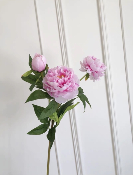 HOA PEONY HỒNG