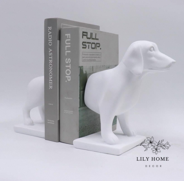 𝑮𝑰𝑨́ 𝑪𝑯𝑨̣̆𝑵 𝑺𝑨́𝑪𝑯 𝑪𝑯𝑶́ 𝑫𝑨𝑪𝑯𝑺𝑯𝑼𝑵𝑫 𝒎𝒂̀𝒖 đ𝒆𝒏 - 𝒕𝒓𝒂̆́𝒏𝒈