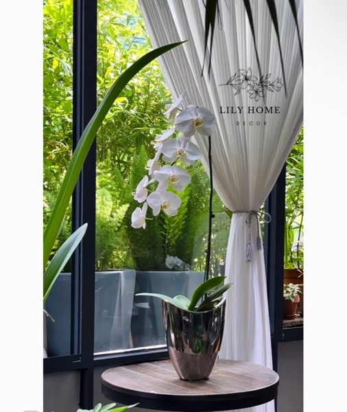 𝑩𝑰̀𝑵𝑯 𝑮𝑶̂́𝑴 𝑺𝑼̛́ 𝑴𝑨̣ 𝑩𝑨̣𝑪 𝑪𝑨𝑶 𝑪𝑨̂́𝑷