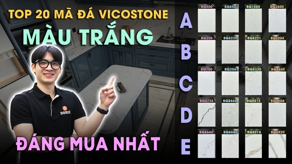 Top 20 Mã Đá Màu Trắng Của VICOSTONE