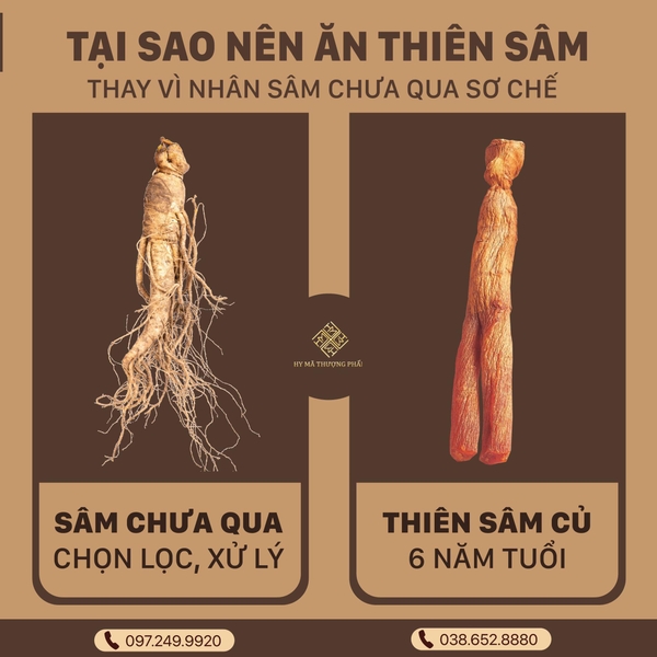 Sự khác biệt giữa 