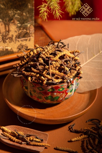 Đông Trùng D50 Tây Tạng( Gram)