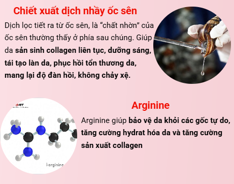 NHẬP MÃ PEKAH20 GIẢM 20K Kem Dưỡng Ốc Sên Cấp Ẩm Và Ngừa Lão Hóa Da Pekah - PEKAH Rebirth Black Snail Cream