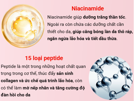 NHẬP MÃ PEKAH20 GIẢM 20K Kem Dưỡng Ốc Sên Cấp Ẩm Và Ngừa Lão Hóa Da Pekah - PEKAH Rebirth Black Snail Cream