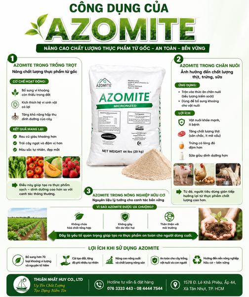 khoang-da-nang-azomite