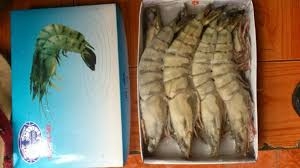 Tôm Sú