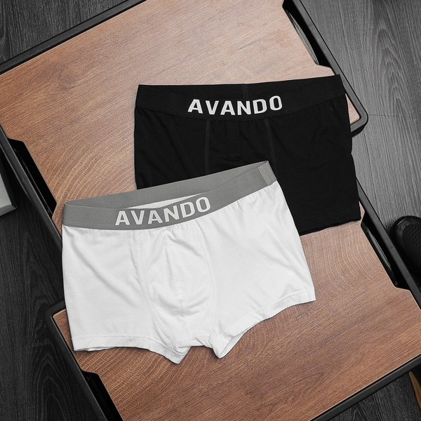 boxer-avando