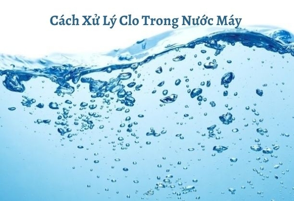Làm Thế Nào Để Xử Lý Nước Máy Có Mùi Clo?
