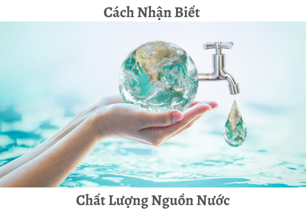 Hướng Dẫn Cách Nhận Biết Chất Lượng Nguồn Nước