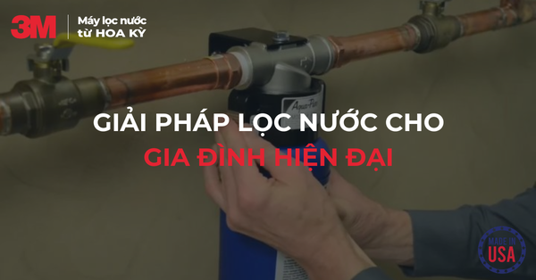 Lọc tổng đầu nguồn 3M AP904 - Giải pháp lọc nước cho gia đình hiện đại