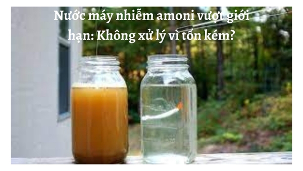 Nước Máy Nhiễm Amoni Vượt Giới Hạn: Không Xử Lý Vì Tốn Kém?