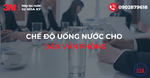 Nhân viên văn phòng cần uống nước thế nào để luôn tỉnh táo và tập trung?