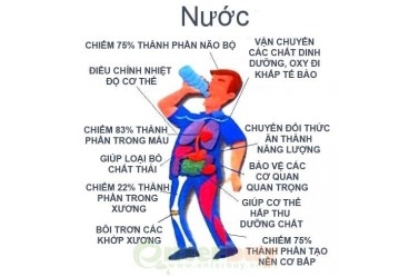 Tầm Quan Trọng Của Nước Sạch Đối Với Sức Khỏe Con Người