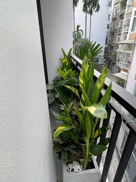 Bán nhà phố Ái Mộ, Bồ Đề, 7 tầng, DT 53m2, MT 3.8m, 4PN, full nội thất, thang máy, gara