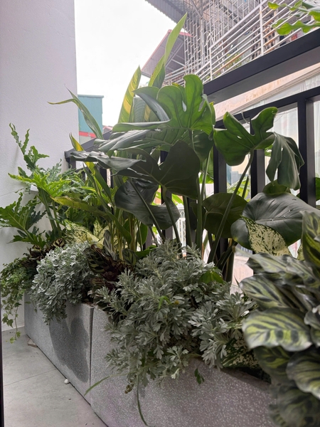 Bán nhà phố Ái Mộ, Bồ Đề, 7 tầng, DT 53m2, MT 3.8m, 4PN, full nội thất, thang máy, gara