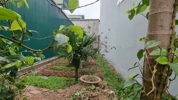 Bán đất ngõ 565 phố Bát Khối, Cự Khối, DT 100m2, MT 5m, ô tô tránh nhau, SĐCC, 2024