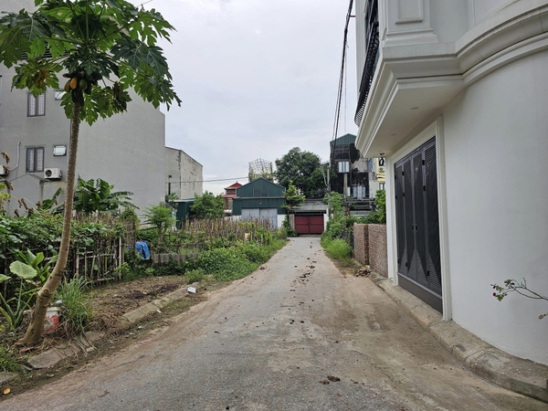 Bán đất phân lô Thạch Bàn, DT 80m2, MT 5.3m, đường và vỉa hè 7m, SĐCC, 2024