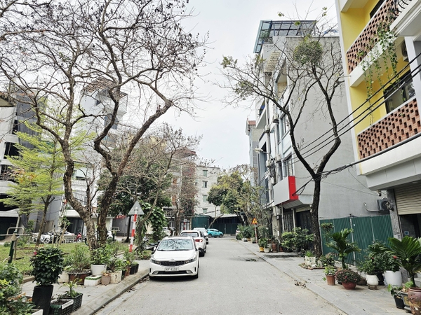 Bán đất phân lô phố Cổ Linh, Thạch Bàn, DT 40m2, MT 3.6m, đường 11m, tiện kinh doanh