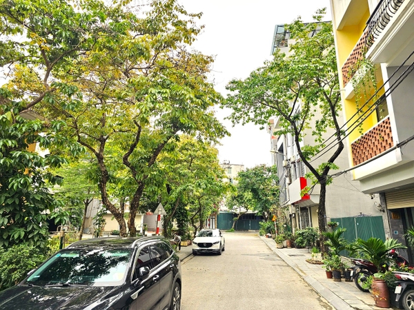 Bán đất phân lô phố Cổ Linh, Thạch Bàn, DT 40m2, MT 3.6m, đường 11m, tiện kinh doanh