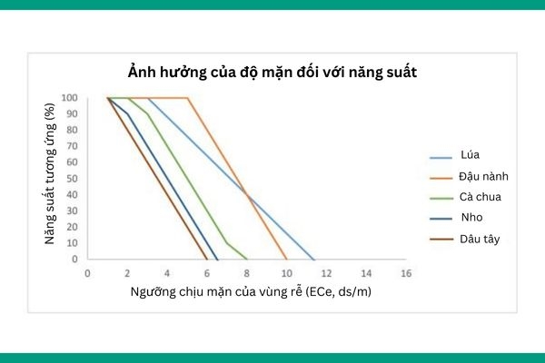 ảnh hưởng của độ mặn đối với cây trồng