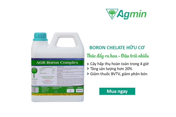 phan bon vi luong boron